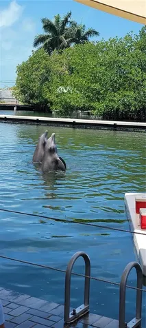 51 W Plaza Del Lago Islamorada FL 33036