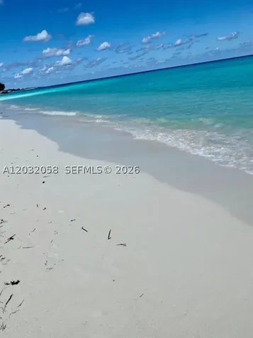Harbour Harbor Cay Bahamas Berry Island Palm City FL 33144