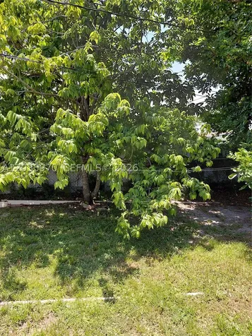 3021 NW 184th Street Miami Gardens FL 33056