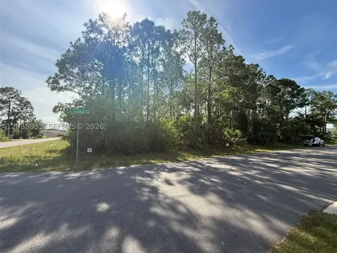 0000 Jacaranda Avenue NW Palm Bay FL 32907