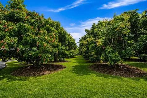 19051 SW 147th Avenue Miami FL 33187