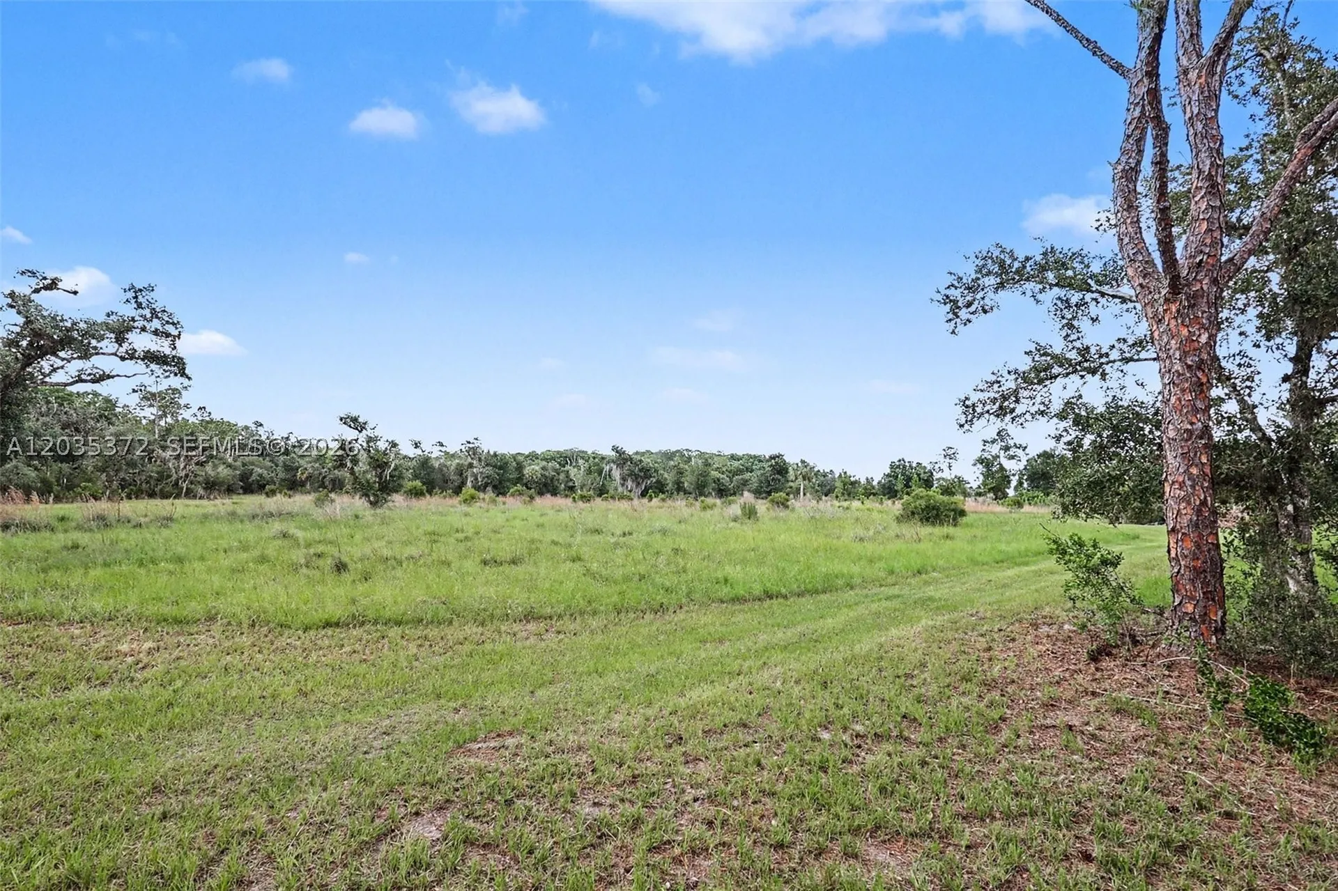 2291 Secretariat Drive Other City - In The State Of Florida FL 33935