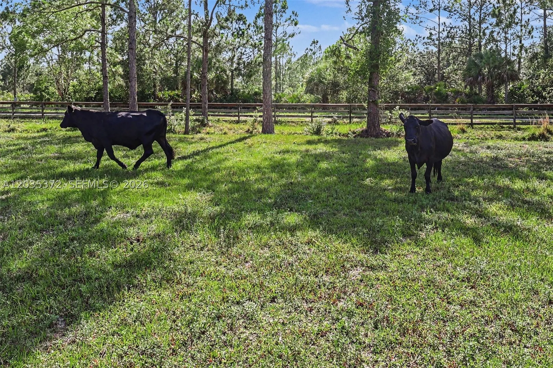 2291 Secretariat Drive Other City - In The State Of Florida FL 33935