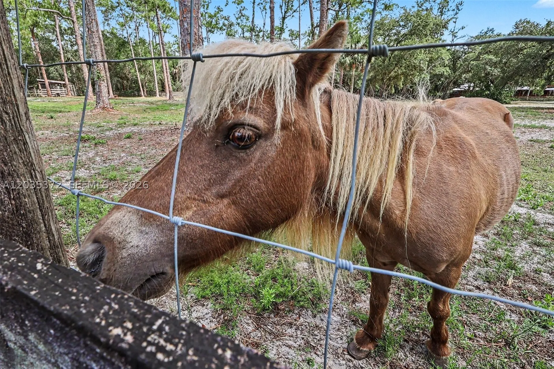2291 Secretariat Drive Other City - In The State Of Florida FL 33935