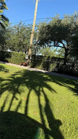 10115 Biscayne Boulevard Miami Shores FL 33138