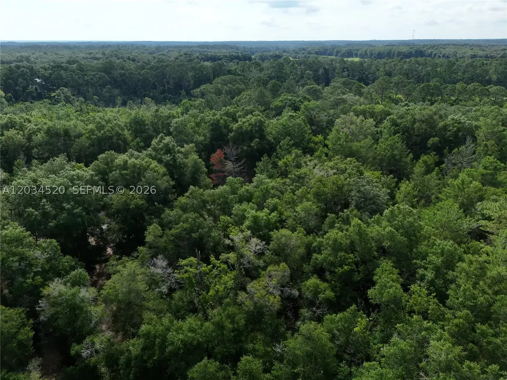 141 Strawberry Street Other City - In The State Of Florida FL 32181