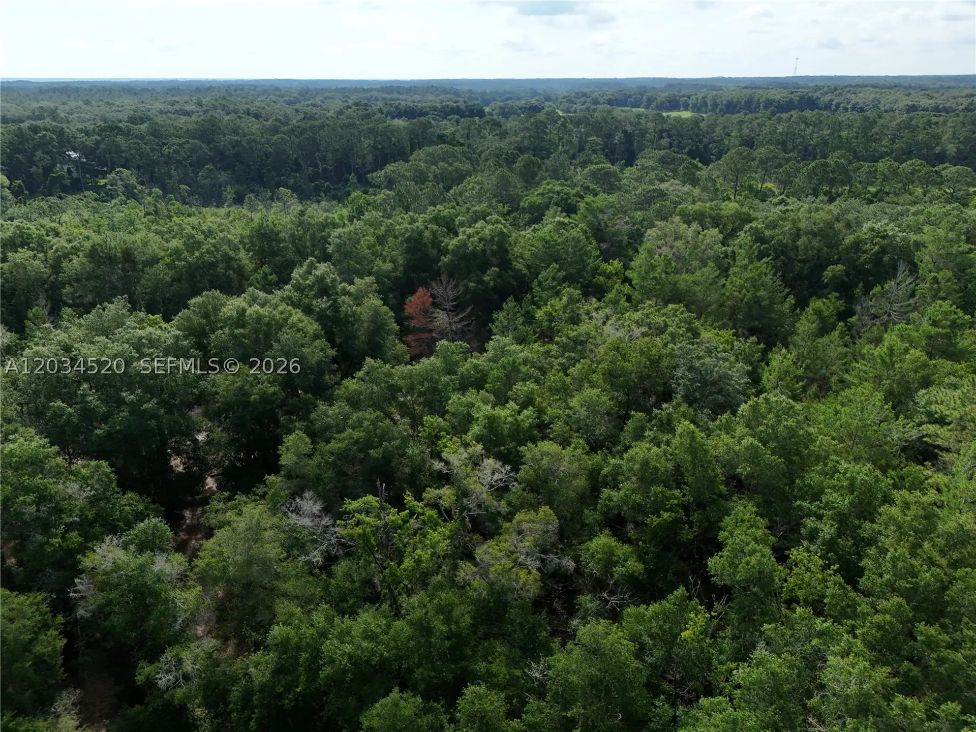 141 Strawberry Street Other City - In The State Of Florida FL 32181