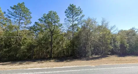 Lot 2 Street 121 Williston FL 32696