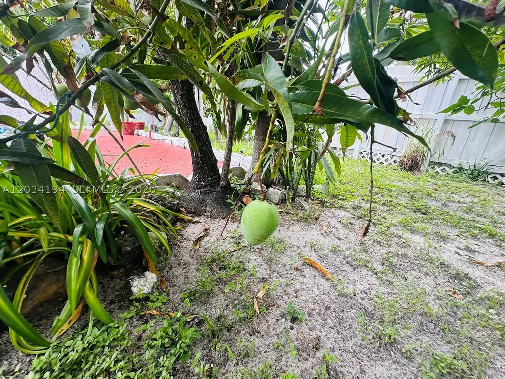 1215 S 24th Avenue Hollywood FL 33020