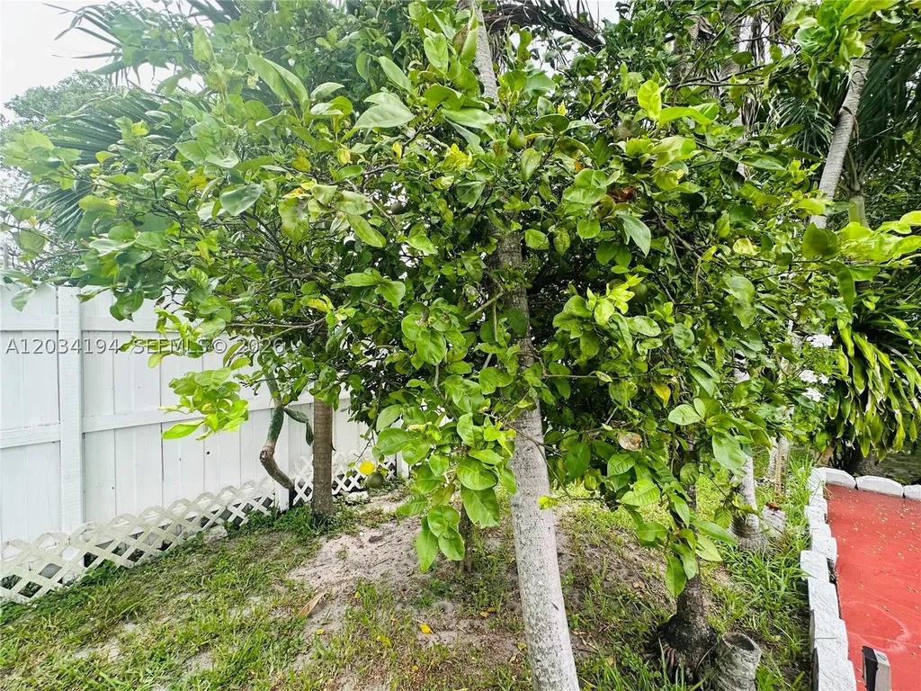 1215 S 24th Avenue Hollywood FL 33020