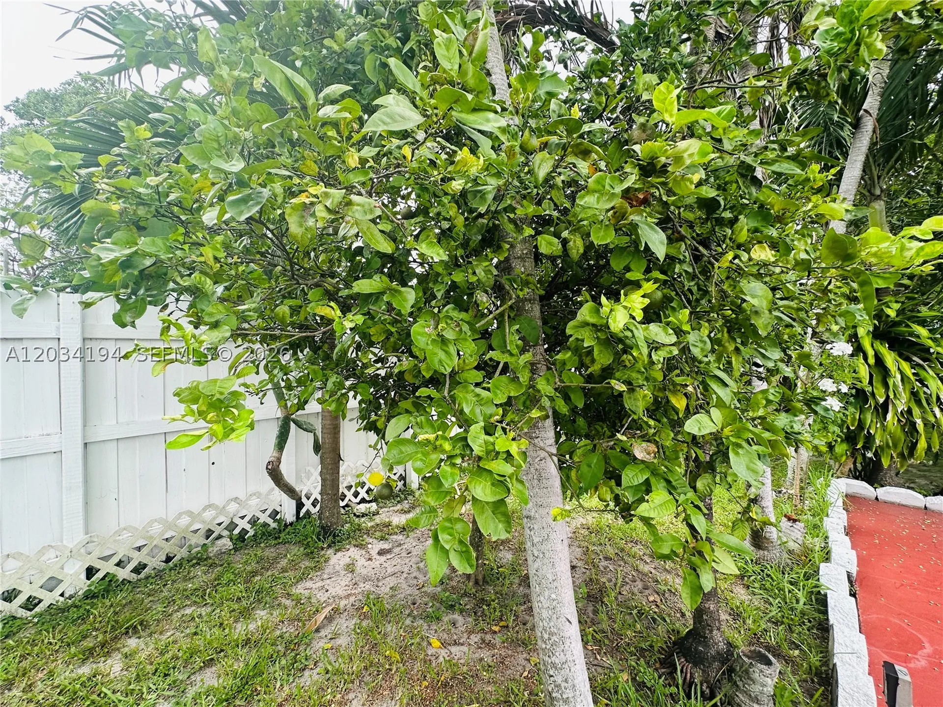 1215 S 24th Avenue Hollywood FL 33020