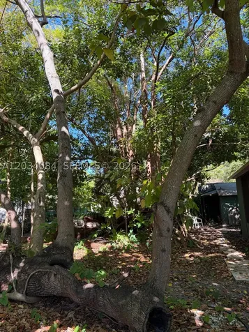 8238 NE 9th Avenue Miami FL 33138
