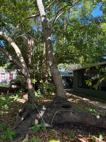 8238 NE 9th Avenue Miami FL 33138