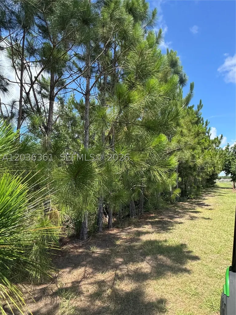 476 N Barlow Road Other City - In The State Of Florida FL 33873