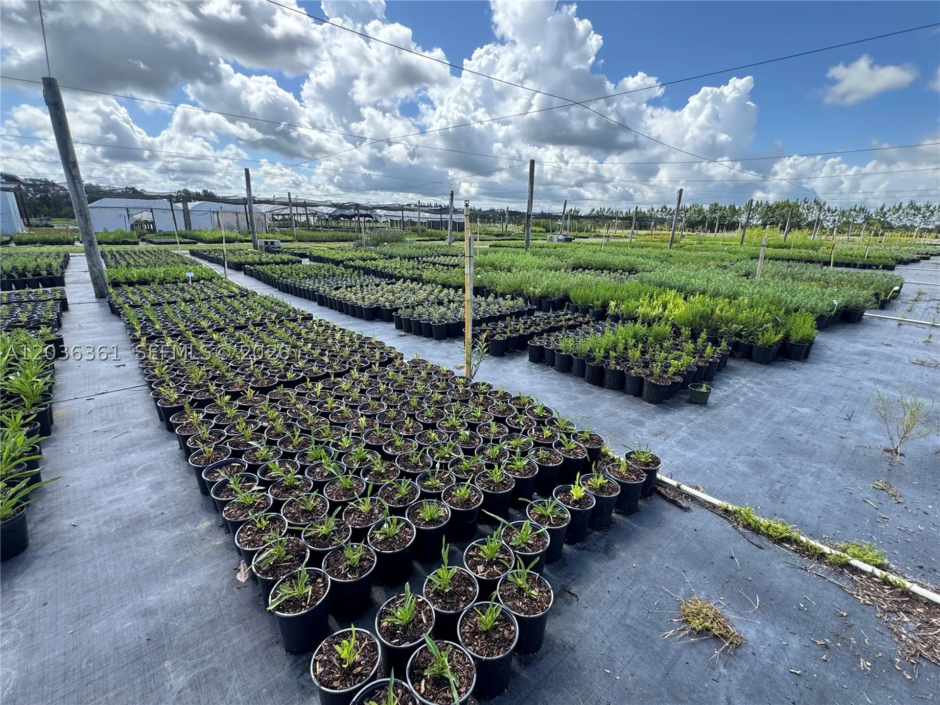 476 N Barlow Road Other City - In The State Of Florida FL 33873