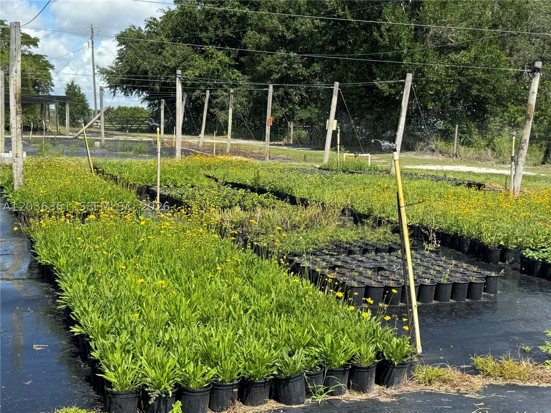 476 N Barlow Road Other City - In The State Of Florida FL 33873