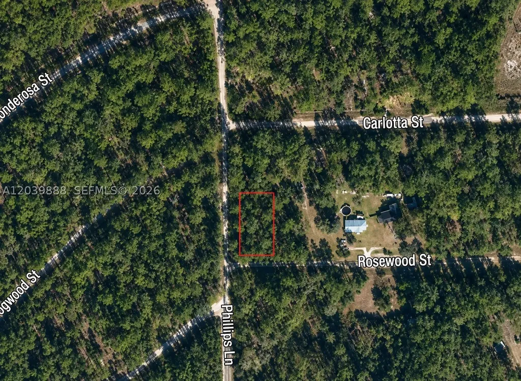 Other City - In The State Of Florida FL 32139