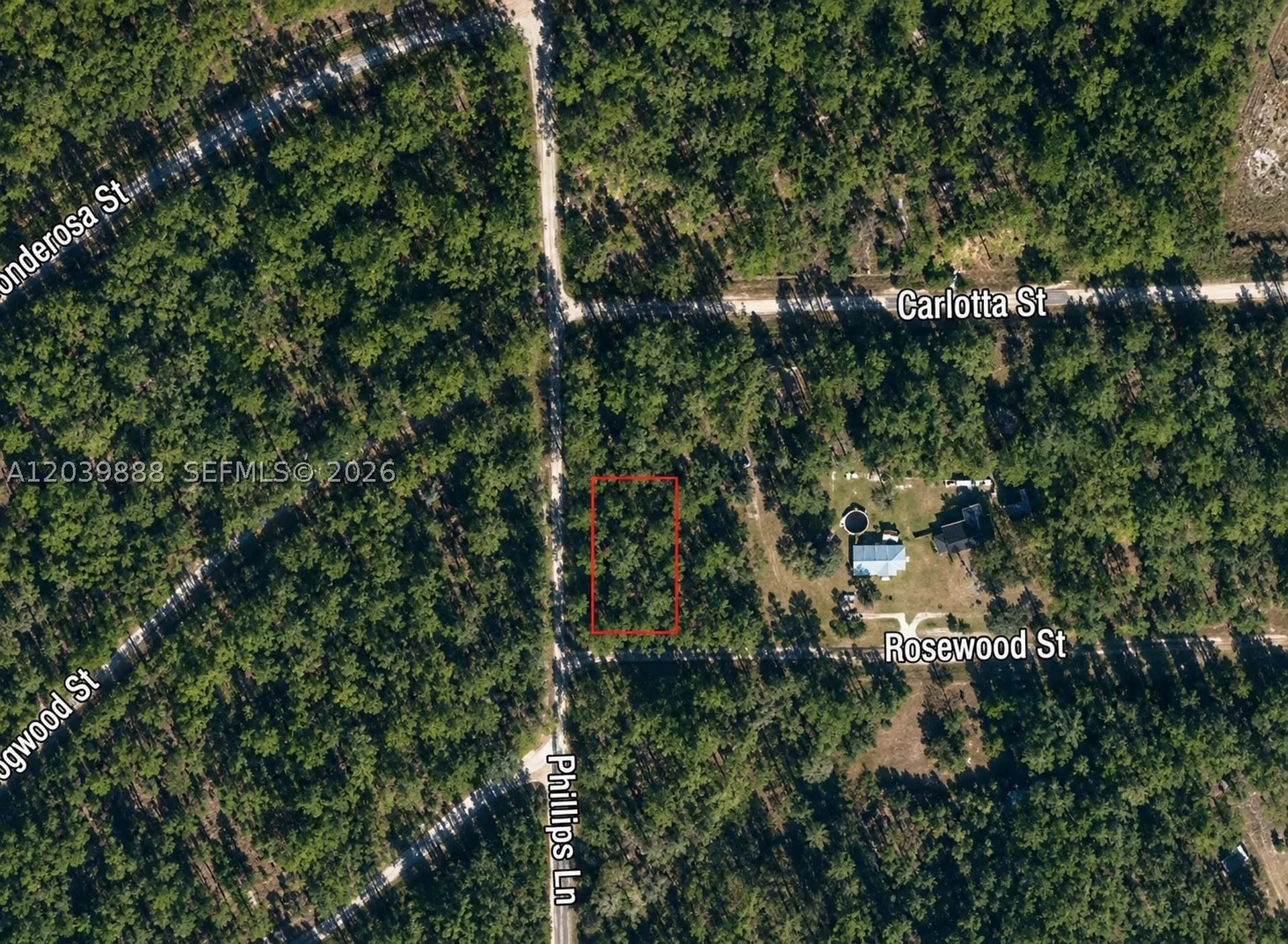 Other City - In The State Of Florida FL 32139