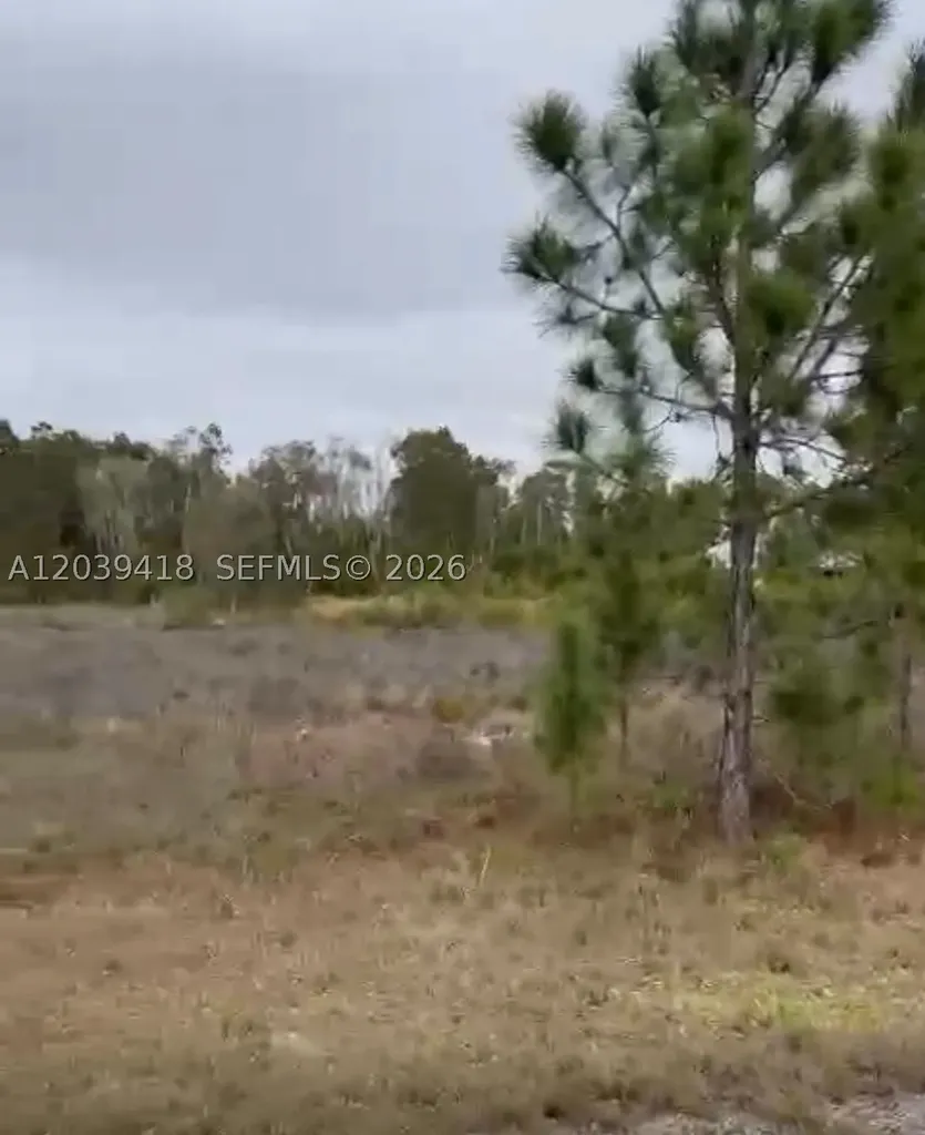 741 Bobolink Avenue Other City - In The State Of Florida FL 33974