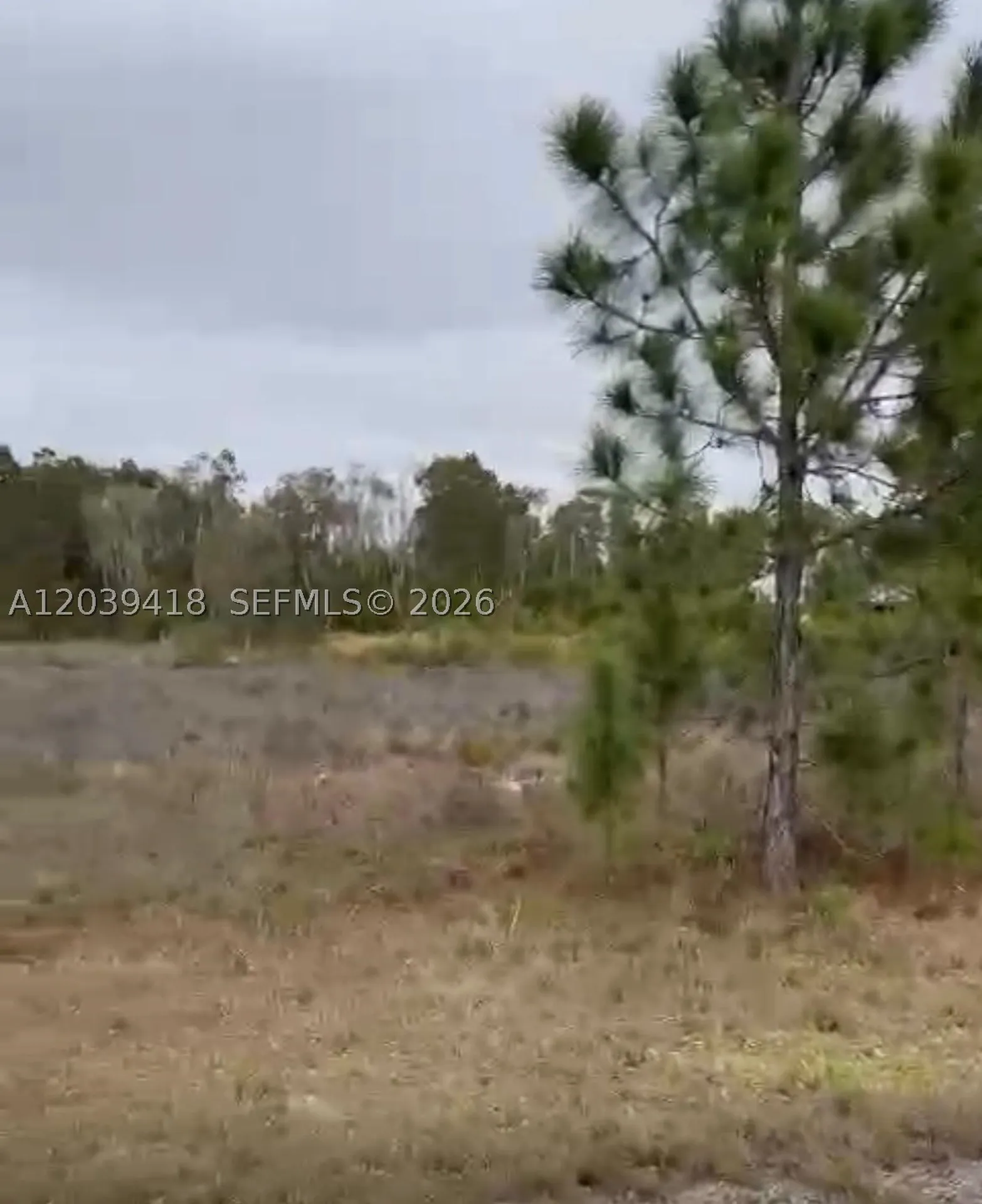 741 Bobolink Avenue Other City - In The State Of Florida FL 33974