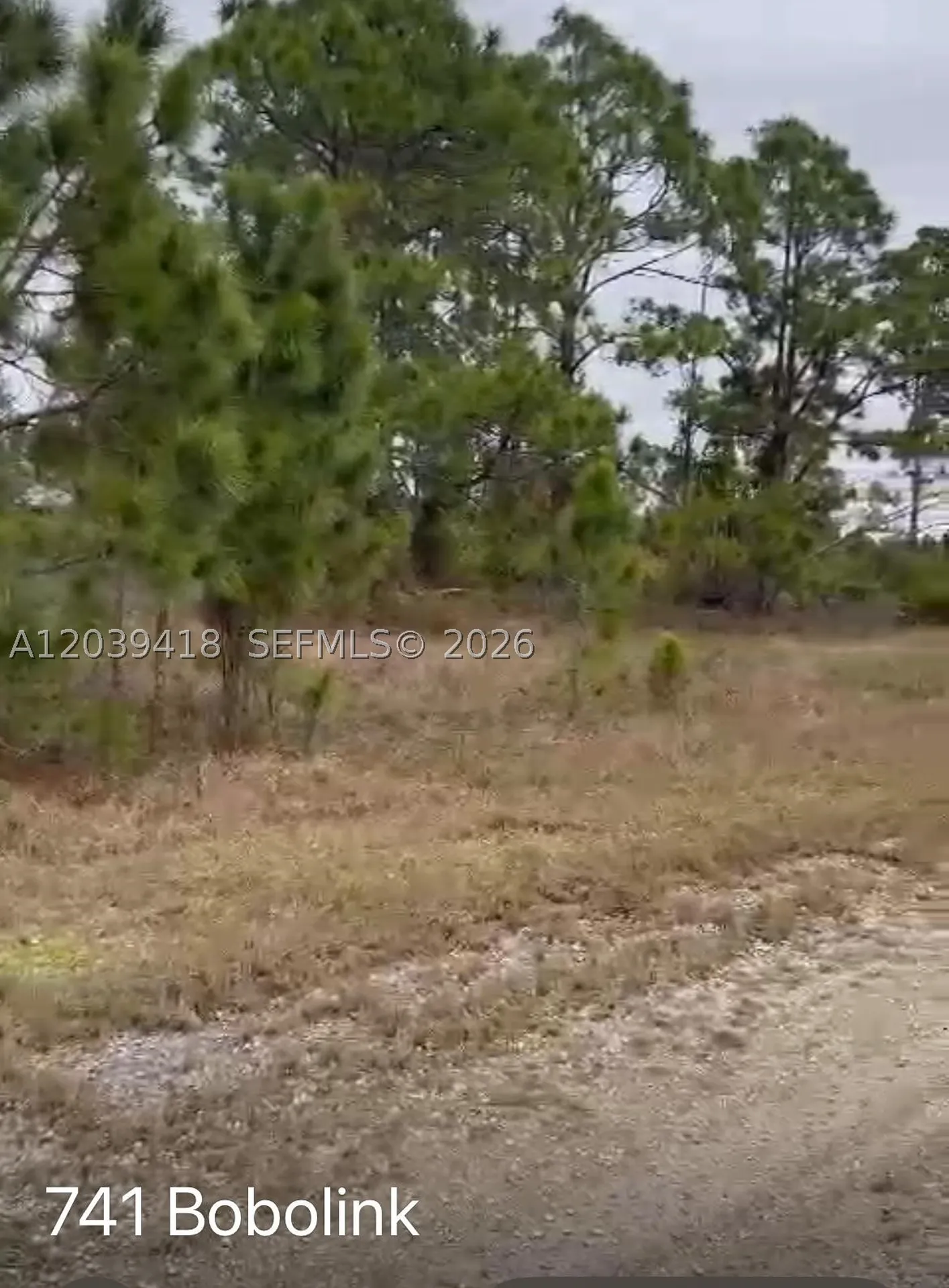 741 Bobolink Avenue Other City - In The State Of Florida FL 33974