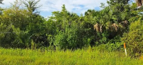 Xxxx NE 45th Avenue Naples FL 34120