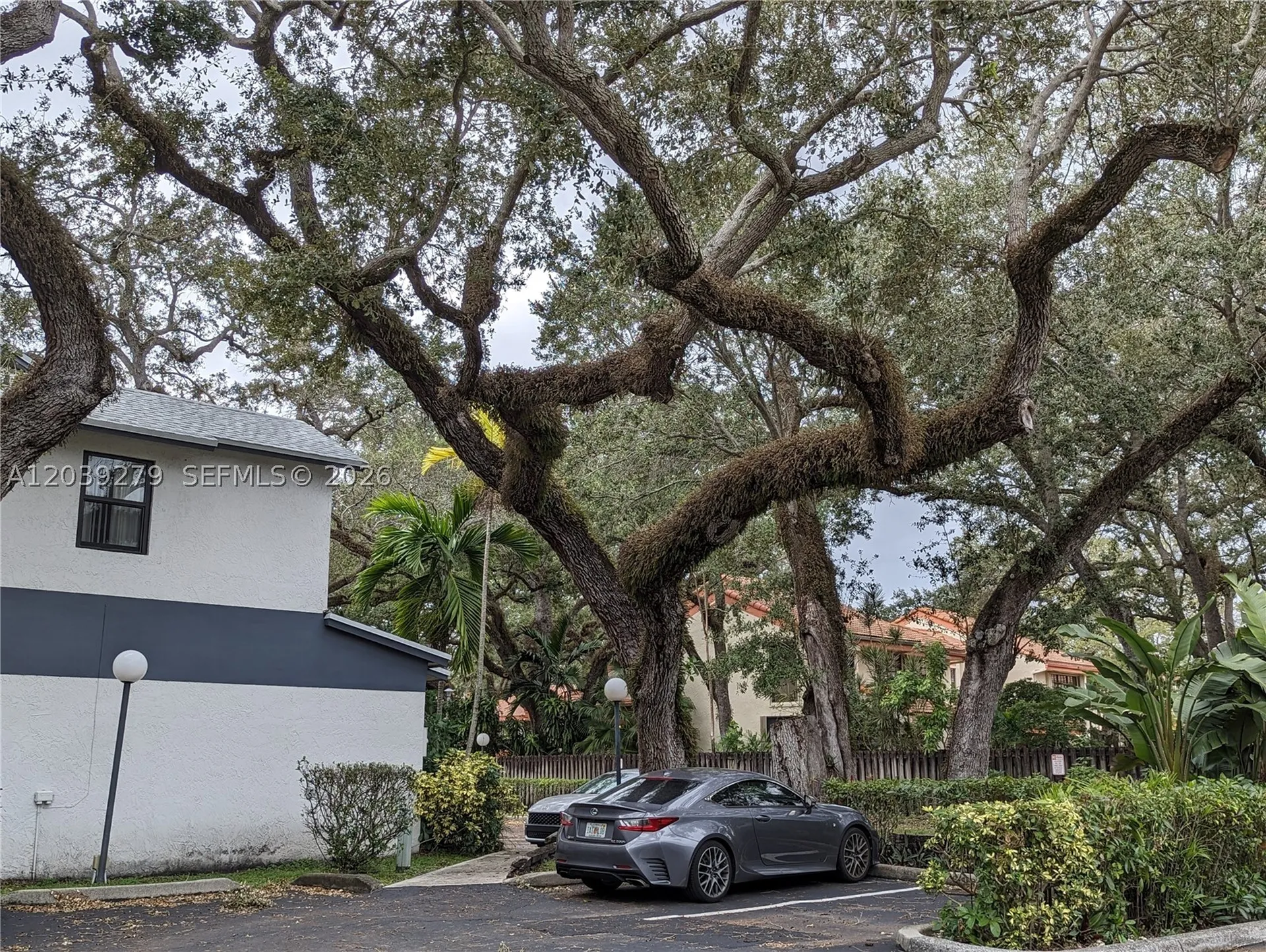 3446 Oak Drive Hollywood FL 33021