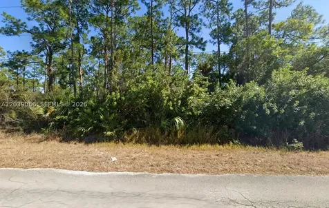 1010 Henry Avenue Lehigh Acres FL 33972