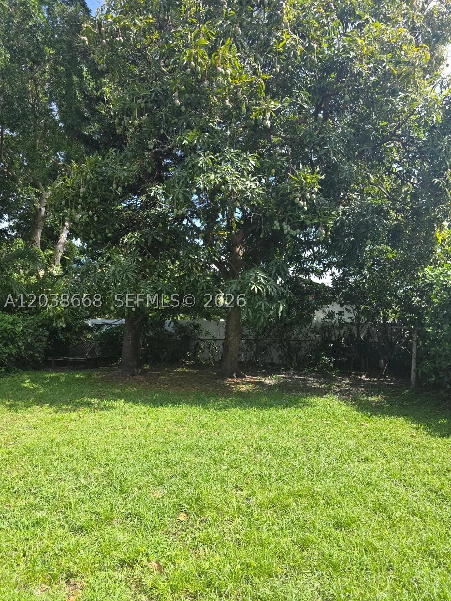 2532 Garfield Street Hollywood FL 33020