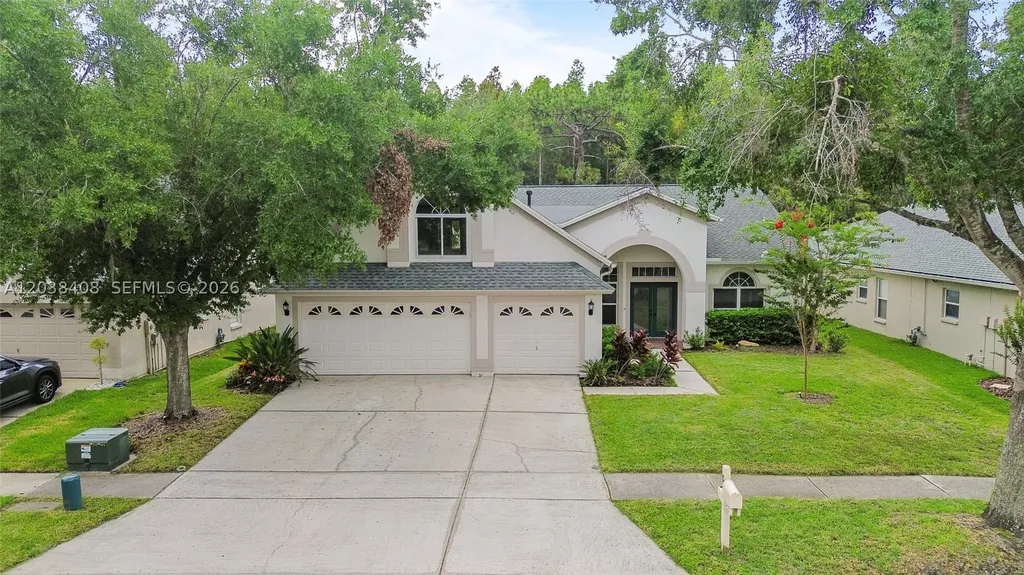 10217 Timberland Point Drive Tampa FL 33647