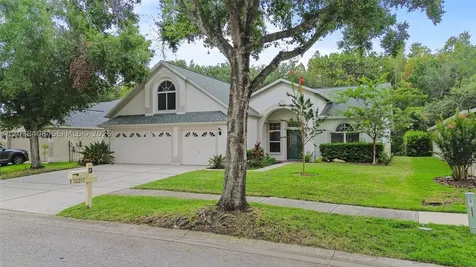 10217 Timberland Point Drive Tampa FL 33647