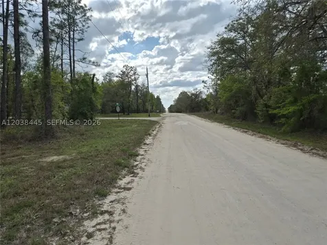 00 NE 4 Street Williston FL 32696