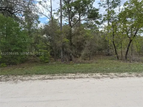 00 NE 4 Street Williston FL 32696