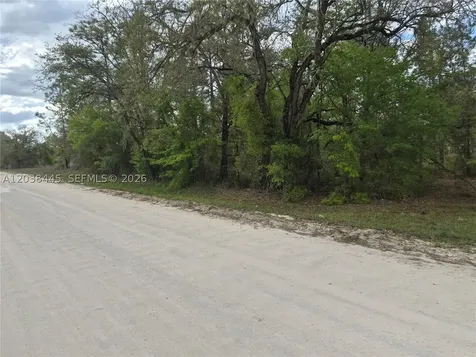 00 NE 4 Street Williston FL 32696