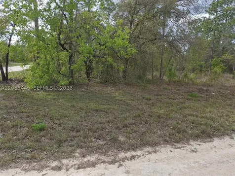 00 NE 4 Street Williston FL 32696