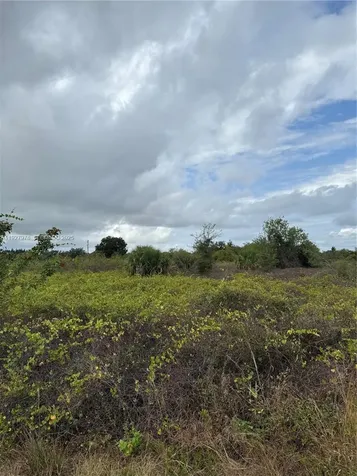 1503 Irving Avenue Lehigh Acres FL 33972