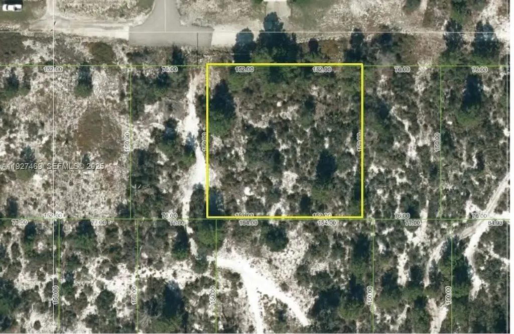 1013 Tennyson Street Lake Placid FL 33852