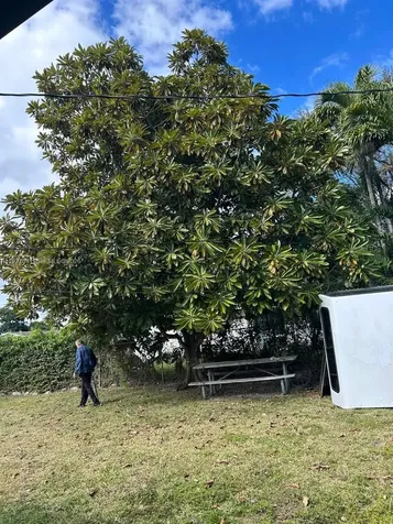 10011 SW 162nd Street Miami FL 33157