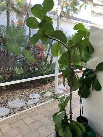 2518 Bay Pointe Court Weston FL 33327