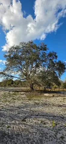 18678 NW 284 Street Okeechobee FL 34972