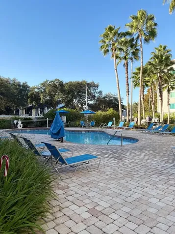 8303 Palm Parkway Orlando FL 32836