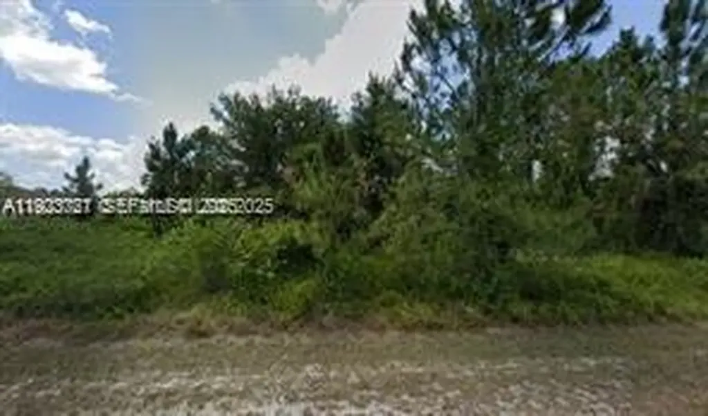 1905 Wells Avenue Lehigh Acres FL 33972