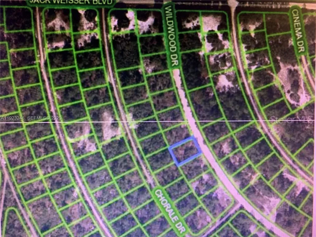 358 Wildwood Drive Lake Placid FL 33852