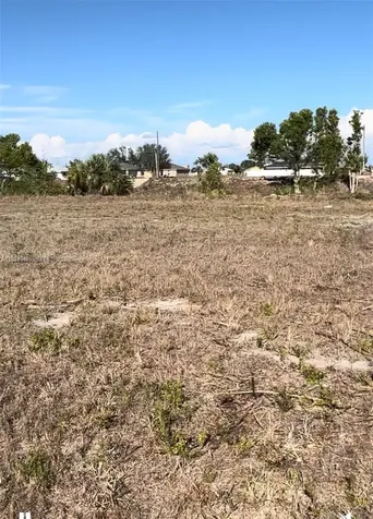 1931 NW 9th Place Cape Coral FL 33993