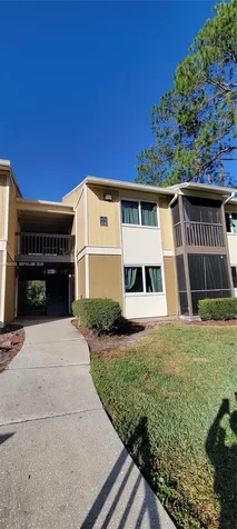 13285 Arbor Pointe Circle Tampa FL 33617