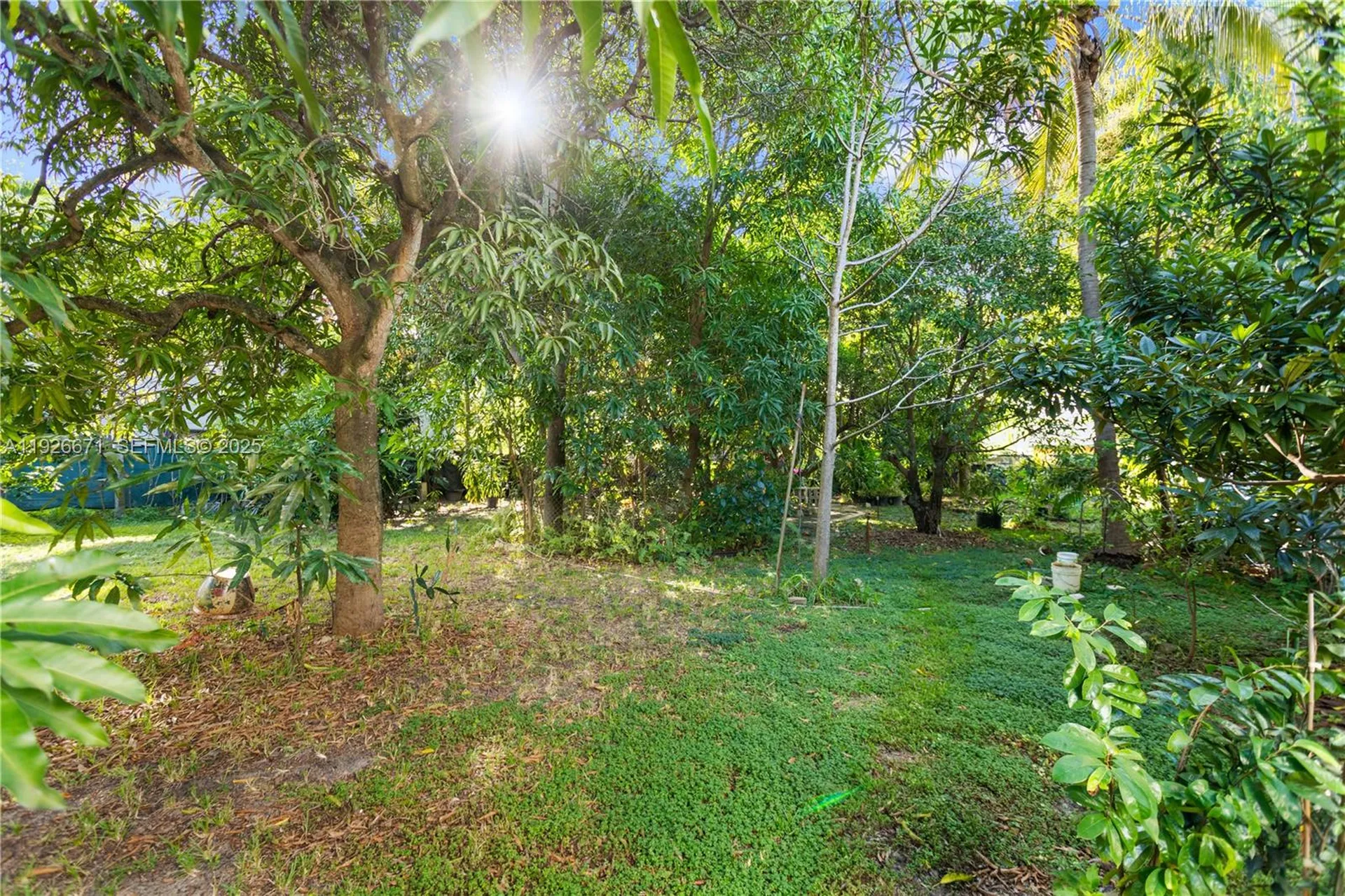 425 NW 7th Terrace Fort Lauderdale FL 33311