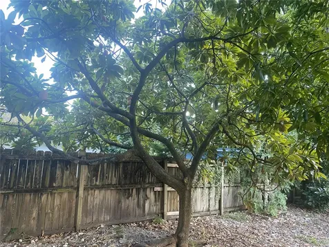 209 NW 17th Place Miami FL 33125