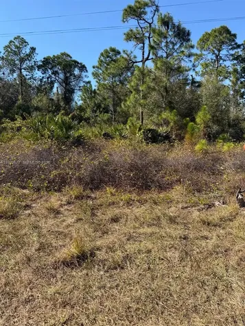 216 Columbus Boulevard Lehigh Acres FL 33974
