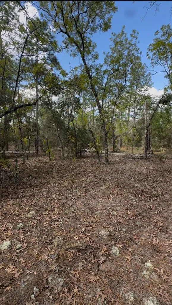 SW SW Indian Hill Drive Ocala FL 34431