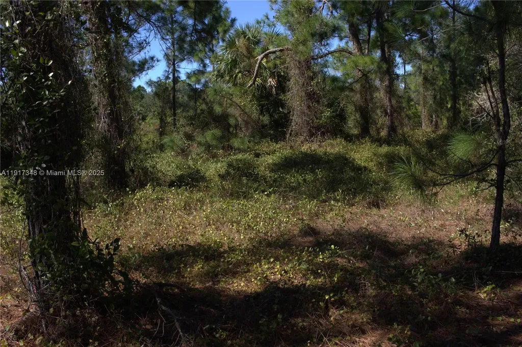 1917 Moore Other City - In The State Of Florida FL 33972